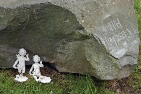 Carlingford, Co. Louth, Ireland February  2013 © Tom O' Connor 2013