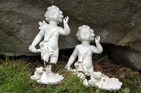 Carlingford, Co. Louth, Ireland February  2013 © Tom O' Connor 2013