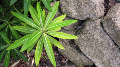 Alexandra Terrace, Dublin, Ireland, May 2013