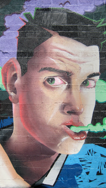 Liberty Lane, Dublin, Ireland June 2013 © Tom O' Connor 2013