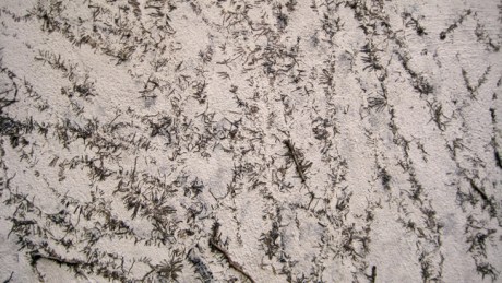 Alexandra Terrace, Dublin, Ireland, May 2013