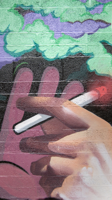 Liberty Lane, Dublin, Ireland June 2013 © Tom O' Connor 2013