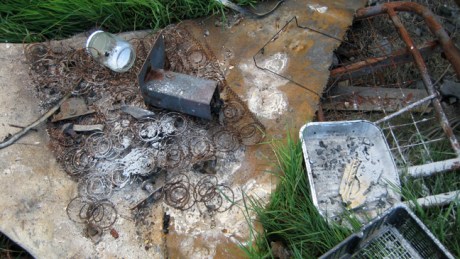 Loughshinny, Dublin, Ireland, June 2013