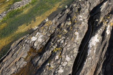 Seal Harbour, Glengarriff, Co. Cork, Ireland, April 2013