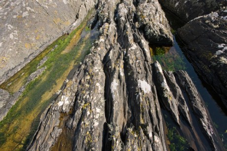 Seal Harbour, Glengarriff, Co. Cork, Ireland, April 2013
