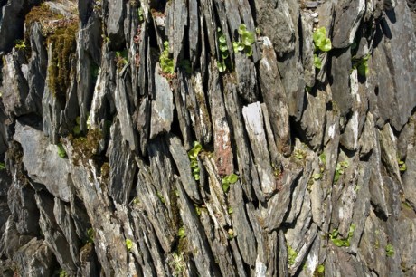 Killough West, Co. Cork, Ireland, 2013