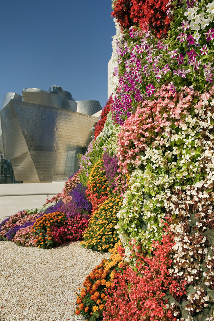 Koons, Puppy, Museo Guggenheim, Bilbao, Spain, July 2013