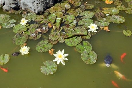 Convento de la Encarnacion, Bilbao, Spain, July 2013