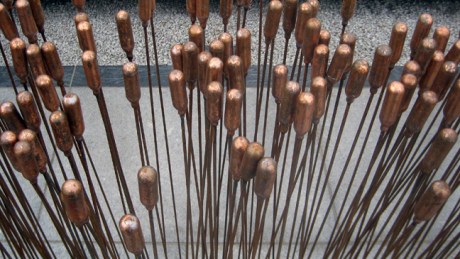 Botanical Gardens, Dublin, Ireland, Sept 2013