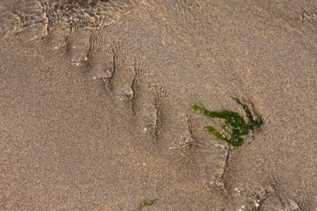 Loftus Hall, Wexford, Ireland, July 2013