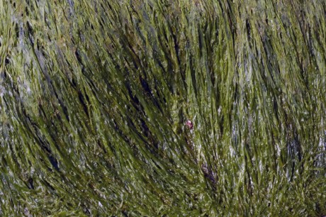 Loftus Hall, Wexford, Ireland, July 2013