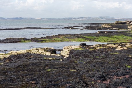 Loftus Hall, Wexford, Ireland, July 2013