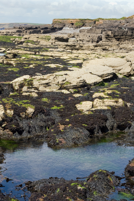 Loftus Hall, Wexford, Ireland, July 2013