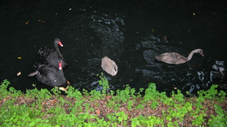 Eindhoven,The Netherlands, August 2014