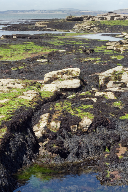 Loftus Hall, Wexford, Ireland, July 2013