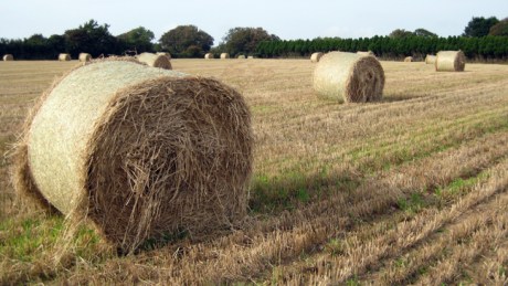 Wexford, Ireland, Sept 2014