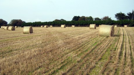 Wexford, Ireland, Sept 2014