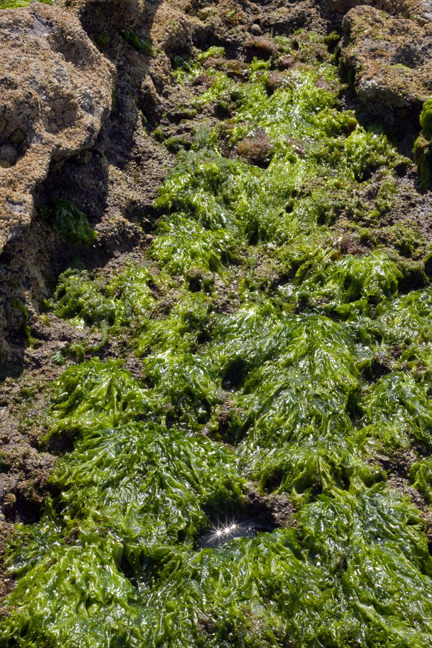 Loftus Hall, Wexford, Ireland, July 2013