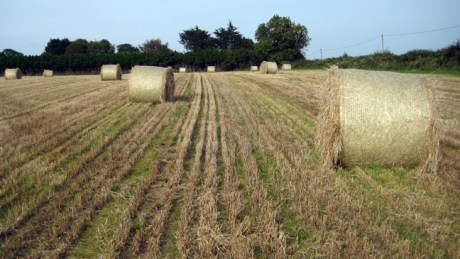 Wexford, Ireland, Sept 2014