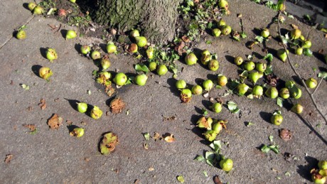 Emorville Avenue,  Dublin, Ireland, October 2014