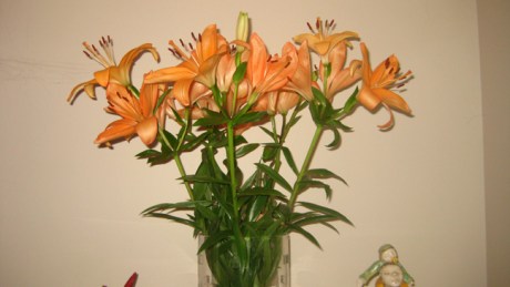 Alexandra Terrace, Dublin, Ireland, May 2014