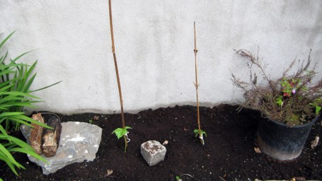 Alexandra Terrace, Dublin, Ireland, May 2014