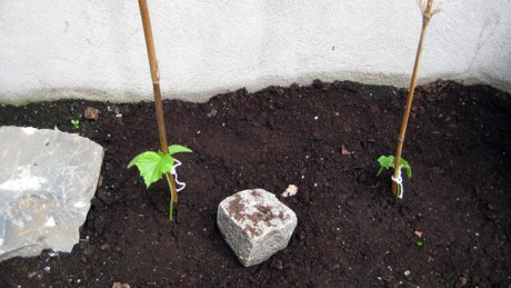Alexandra Terrace, Dublin, Ireland, May 2014