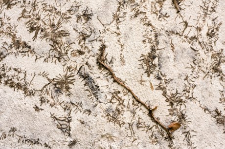 Alexandra Terrace, Dublin, Ireland, April 2013