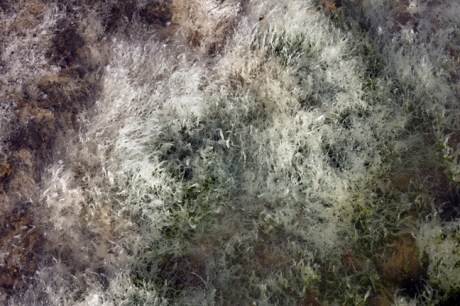 Hook Head, Wexford, Ireland, July 2013