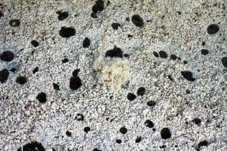 Loftus Hall, Wexford, Ireland, July 2013