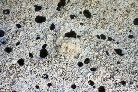 Hook Head, Wexford, Ireland, July 2013