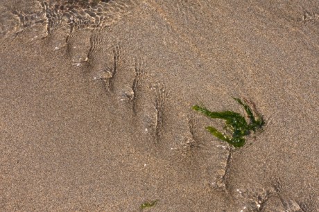Loftus Hall, Wexford, Ireland, July 2013