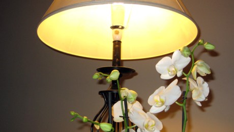 Alexandra Terrace, Dublin, Ireland, June 2014