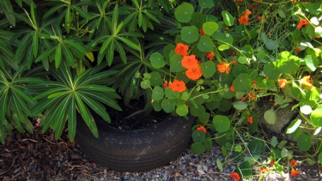 Alexandra Terrace, Dublin, Ireland, June 2014 © Tom O'Connor 2014