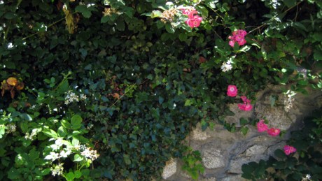 Alexandra Terrace, Dublin, Ireland, June 2014