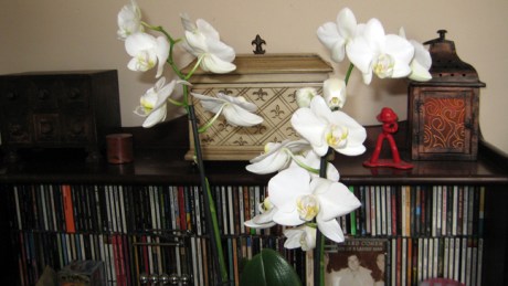 Alexandra Terrace, Dublin, Ireland, July 2014