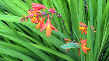 Alexandra Terrace, Dublin, Ireland, July 2014