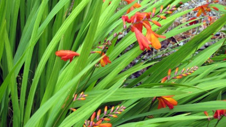 Alexandra Terrace, Dublin, Ireland, July 2014