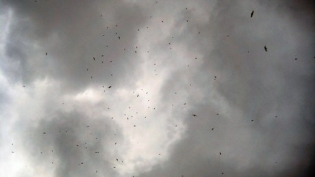 Alexandra Terrace, Dublin, Ireland, July 2014