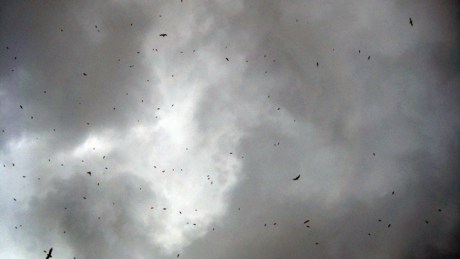 Alexandra Terrace, Dublin, Ireland, July 2014