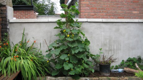 Alexandra Terrace, Dublin, Ireland, July 2014
