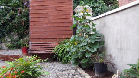 Alexandra Terrace, Dublin, Ireland, July 2014