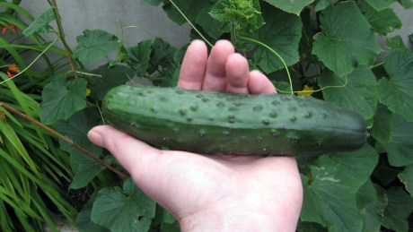 Alexandra Terrace, Dublin, Ireland, July 2014