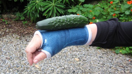 Alexandra Terrace, Dublin, Ireland, July 2014