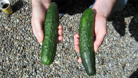 Alexandra Terrace, Dublin, Ireland, August 2014