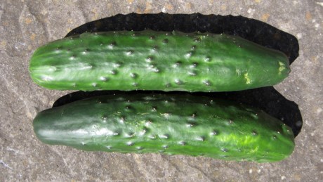 Alexandra Terrace, Dublin, Ireland, August 2014