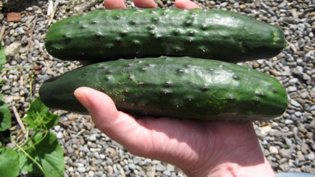 Alexandra Terrace, Dublin, Ireland, August 2014