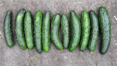 Alexandra Terrace, Dublin, Ireland, August 2014