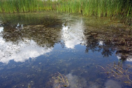 Dommelstraat, Eindhoven, The Netherlands, August 2014