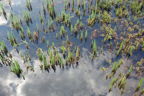 Dommelstraat, Eindhoven, The Netherlands, August 2014